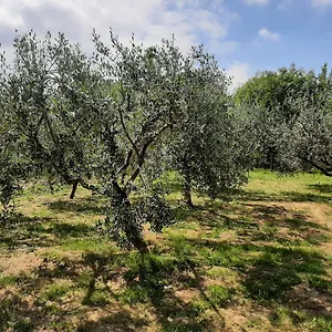  Casa vacanze La Casetta Di Bianca Italia